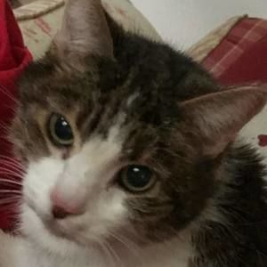 Meet your Posher, Mazilee